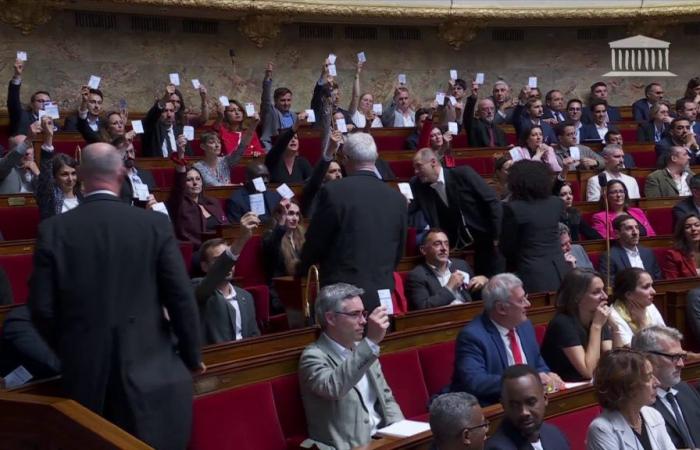 les députés insoumis brandissent leurs cartes d’électeurs