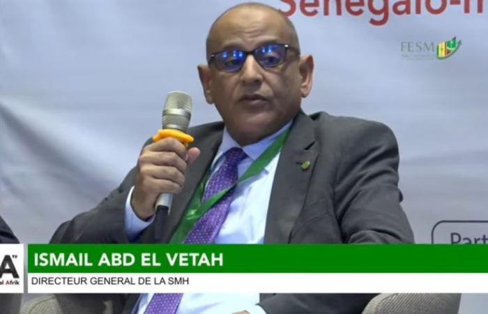 “Nos pays doivent exporter de moins en moins de GNL”, affirme Abdel Vetah Ismail, directeur général de SMH