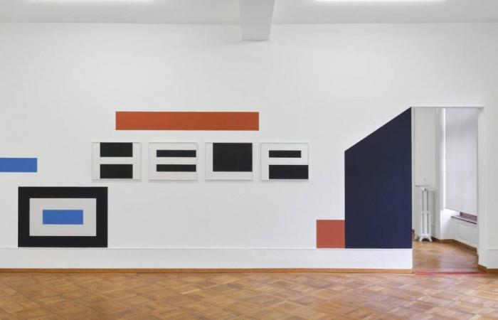 Au Centre d’Art de Bienne, Nathalie Du Pasquier et Olivier Mosset additionnent les couleurs