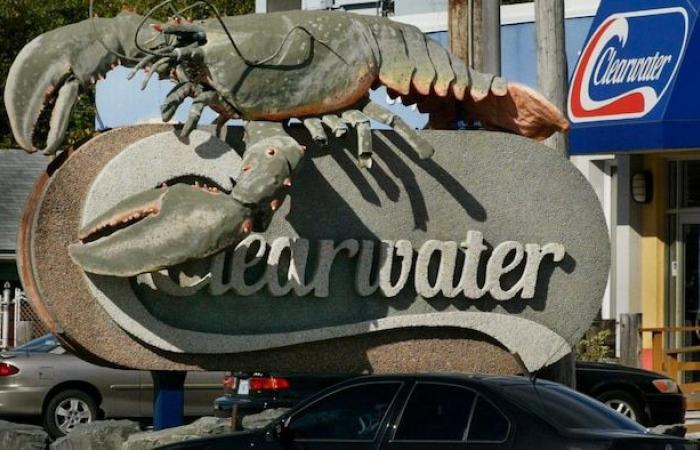 le co-fondateur de Clearwater Seafood aux yeux du fisc