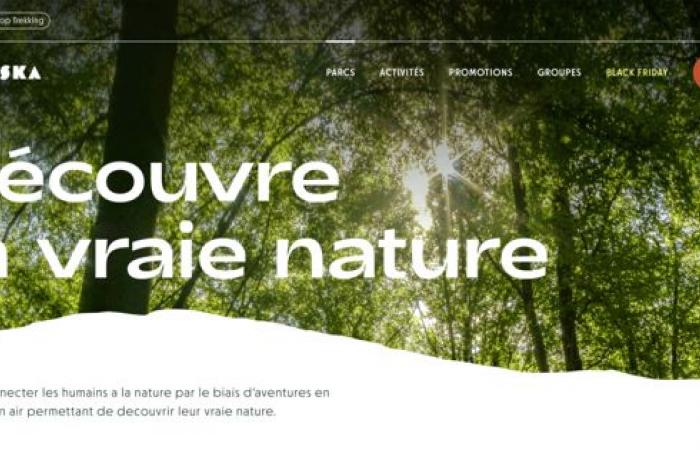 Arbraska et TreeTop Trekking renforcent leur image avec un nouveau site signé QuatreCentQuatre