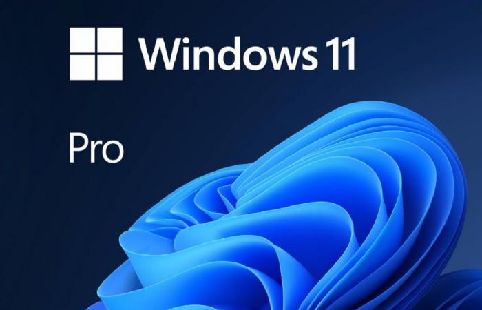 Obtenez une clé Windows 11 Pro (authentique) pour 13 fois moins cher que chez Microsoft