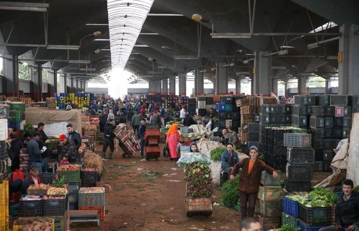 Comment s’appliquera la commercialisation directe des fruits et légumes ?