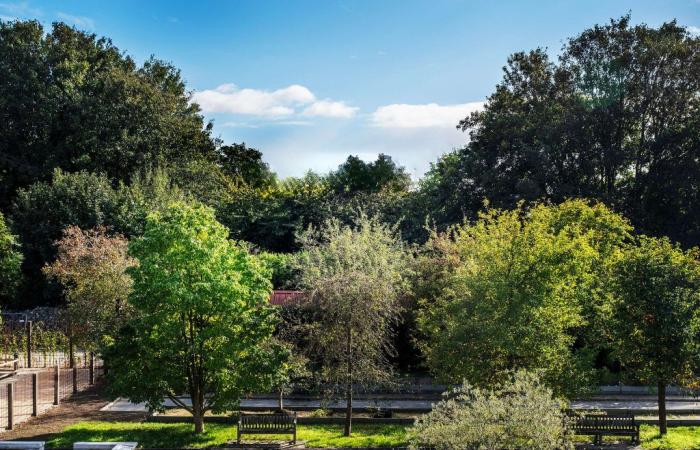 Des millions de Belges ont trop peu de nature dans leur quartier