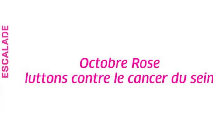 Octobre Rose – Luttons contre le cancer du sein