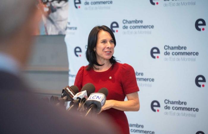 Québec doit faire preuve de flexibilité dans l’application de la réglementation sur les zones inondables, affirme Valérie Plante