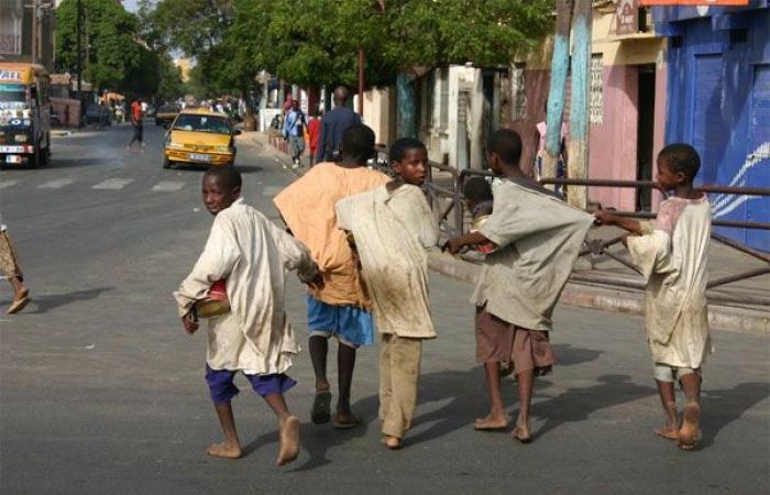 Les talibés au Sénégal : qui sont-ils vraiment ?