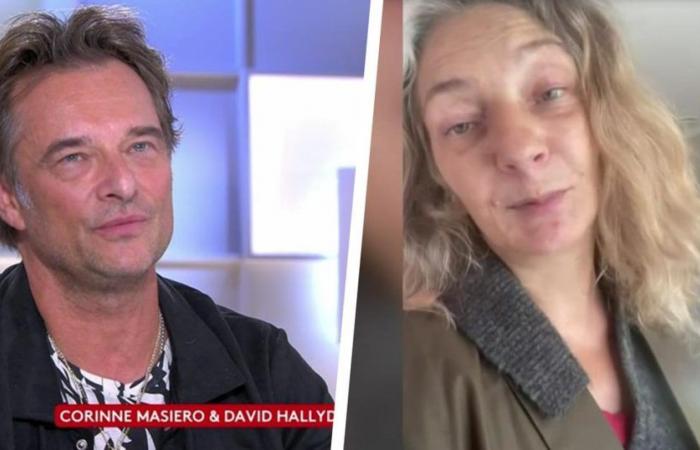 l’étonnant message de Corinne Masiero à David Hallyday