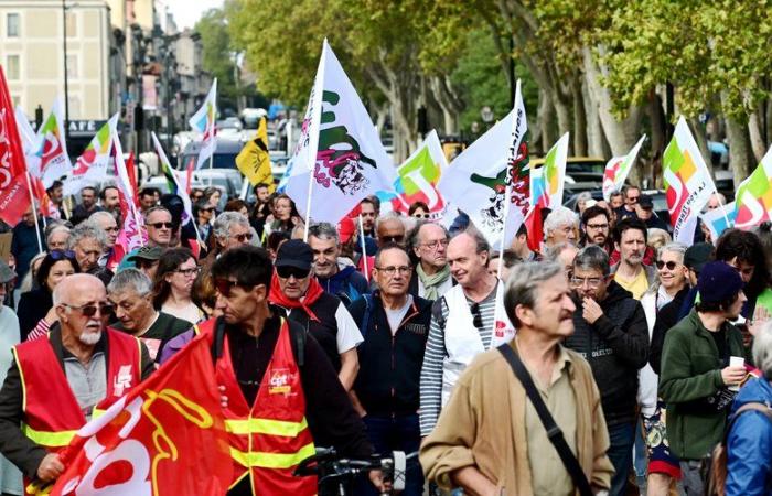 faible mobilisation à Carcassonne « pour que l’austérité change de camp »