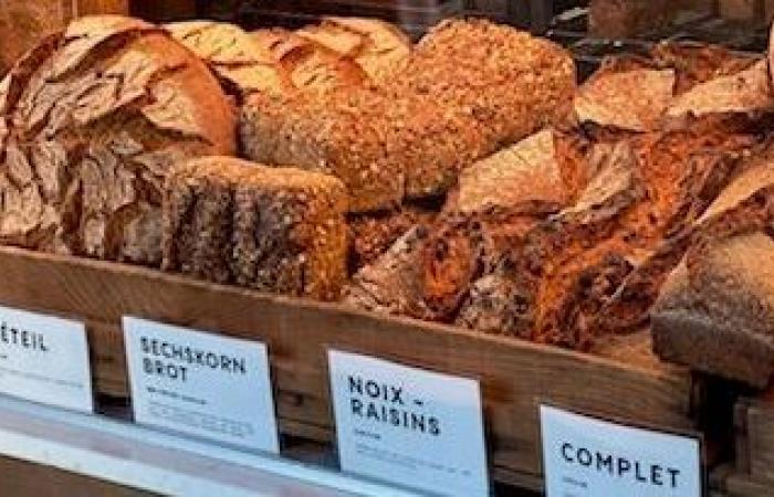 Dans les coulisses de la boulangerie bio « Pétrin » à Aubagne