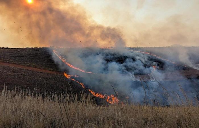 FEUX DE BOUSSE – Incendies dévastateurs inquiétants le long de la RN4