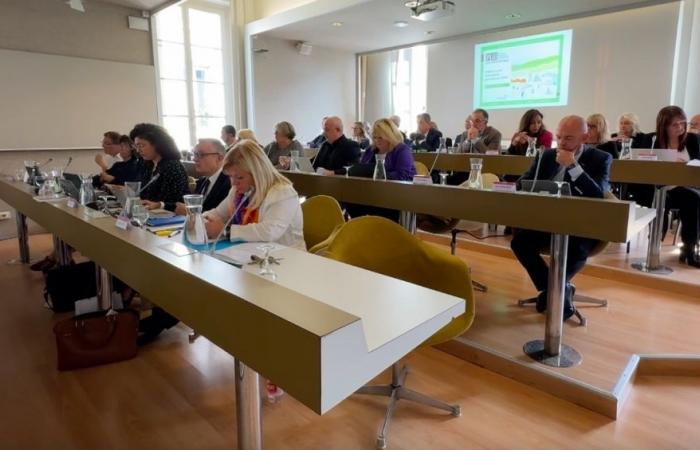 Du racisme à la mairie de Saint-Etienne ? L’opposition dénonce