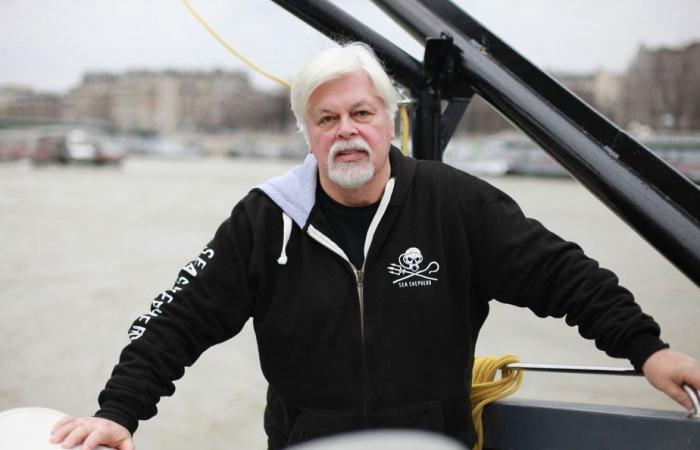 Nouvelle audience sur le maintien en détention du militant écologiste Paul Watson