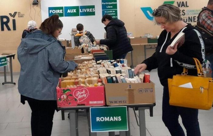 Moult-Chicheboville. La déchetterie organise cette semaine un salon du livre