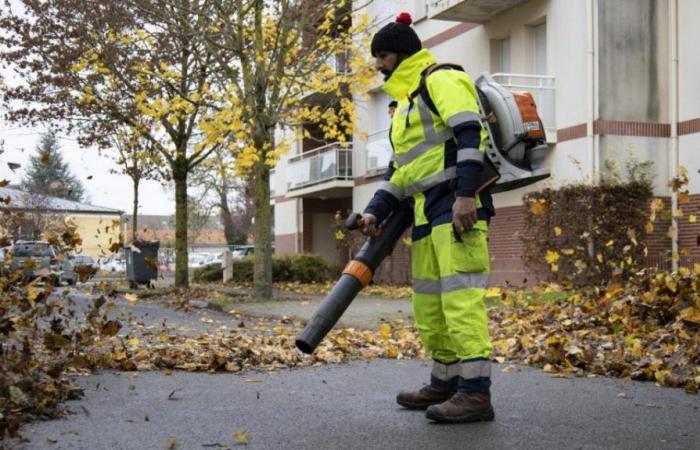 La campagne de collecte de feuilles a démarré à Châlons