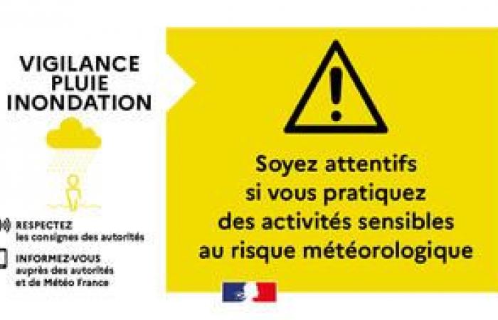 SMS de Vigilance Jaune « pluie et inondation » le 03/09 de 4h à 16h – Vigilance météo – Risques naturels – Prévention des risques – Transition écologique, environnement et prévention des risques – Actions de l’État