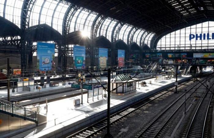 Les passagers « souffrant d’un virus mortel sans remède » déclenchent le verrouillage de la gare