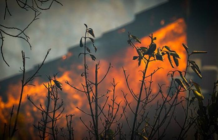 la RN4 reliant Antananarivo à Mahajanga en proie à des feux de brousse dévastateurs – LINFO.re