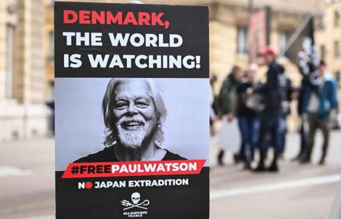 La détention de Paul Watson à nouveau prolongée, malgré la pression internationale