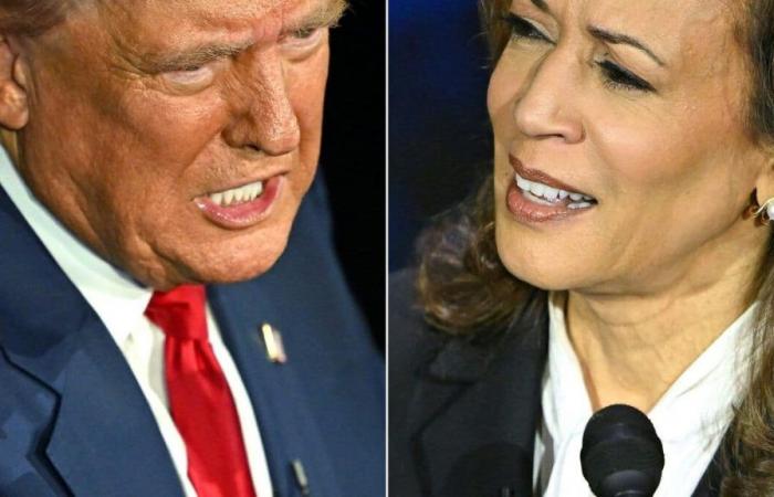 Des sondages embêtants pour évaluer Donald Trump et Kamala Harris