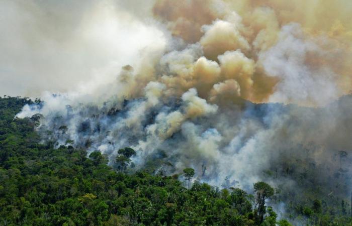 forte pollution de l’air, incendies… Pourquoi le pays étouffe