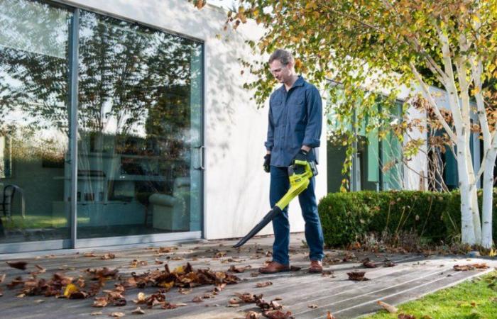 Très populaire durant la saison automnale, ce souffleur de feuilles Ryobi bénéficie d’une réduction