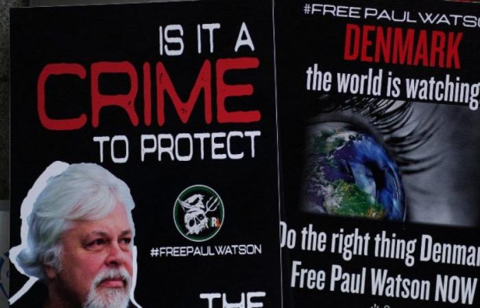 la détention du militant écologiste Paul Watson encore prolongée : Actualités