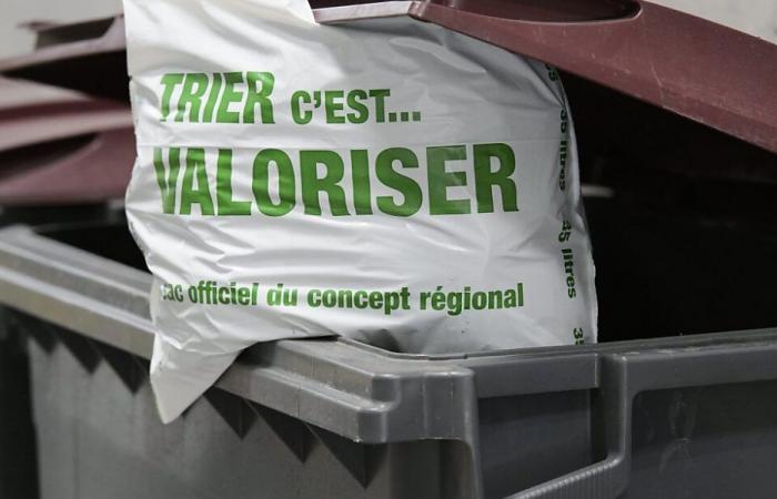 Le système régional de sacs poubelles taxés présente des défauts