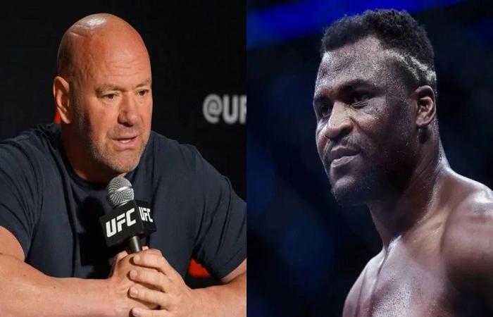 UFC ou boxe ? Dana White dit que Ngannou aurait mieux gagné dans l’octogone