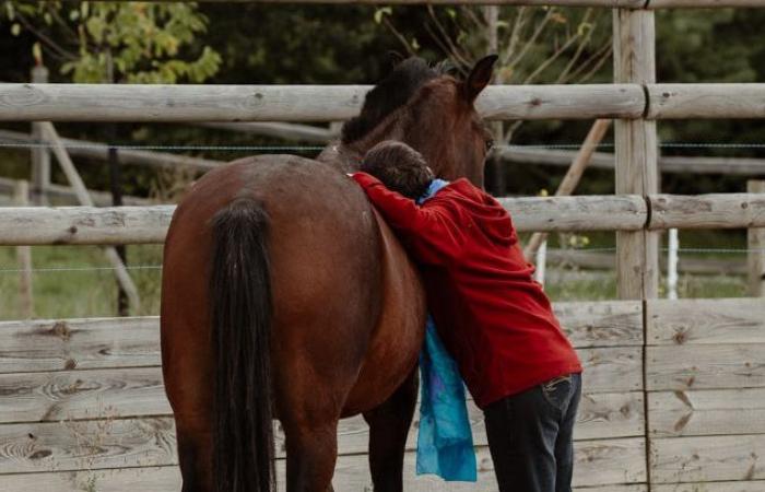 En Haute-Savoie, l’association Espoir et ses chevaux soutiennent les femmes après l’annonce d’un cancer