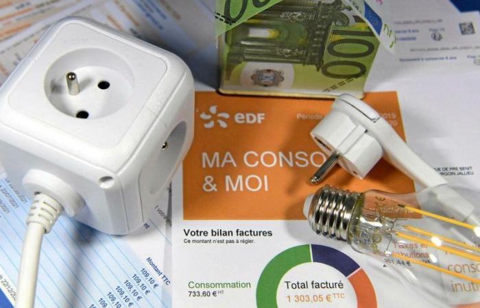 « Le prix de l’électricité est une question cruciale »