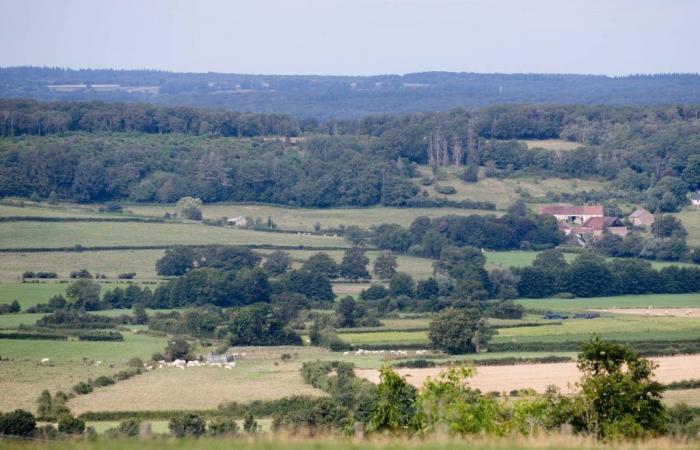 La Bourgogne-Franche-Comté a le prix du foncier agricole le plus bas de France