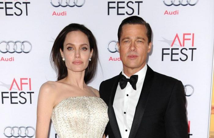 Angelina Jolie, 49 ans, devient « officielle sur Instagram » avec son petit ami, le rappeur britannique Akala, 40 ans.