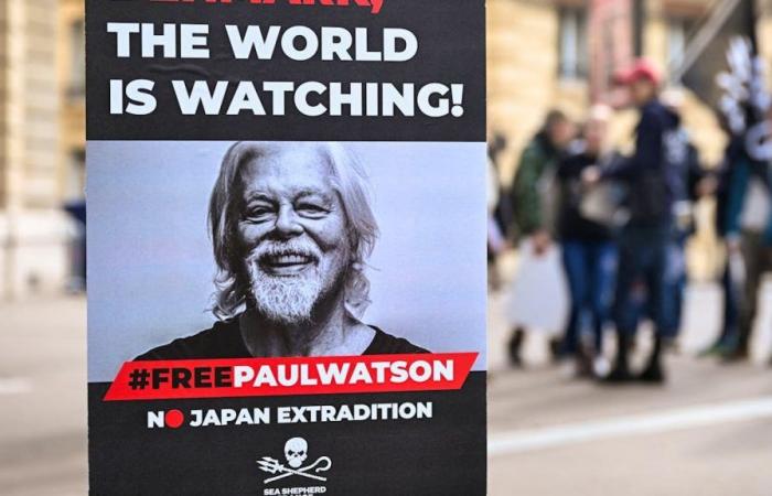 Prolongation de la détention du militant écologiste Paul Watson