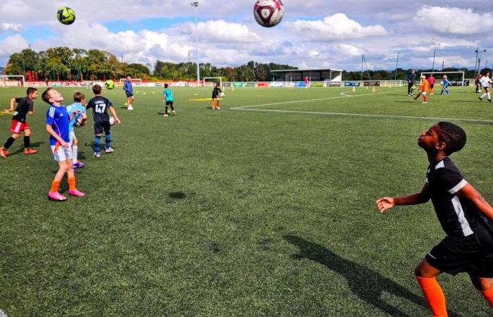 face au RB Salzbourg, le Stade Brestois donne des ailes aux jeunes footballeurs bretons