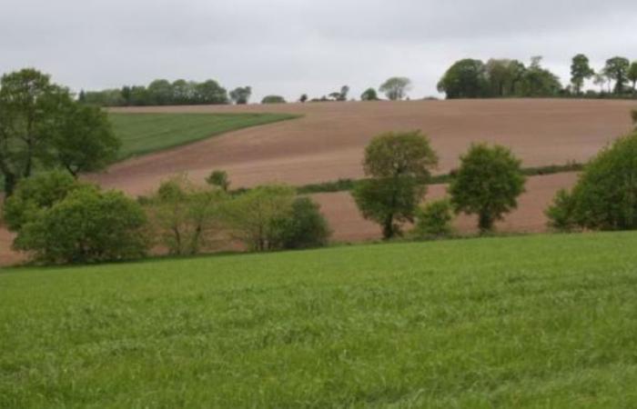 Le prix du foncier agricole en hausse de 1,6% en France