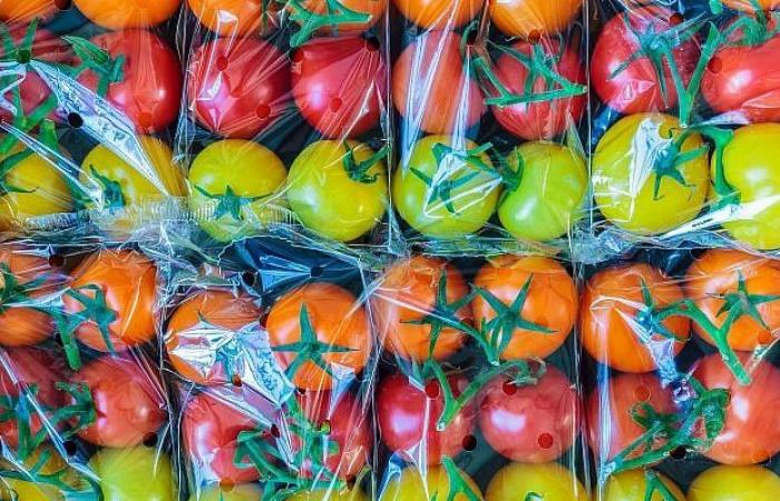 Le prix des tomates s’envole de 37 %. La valse des labels n’est pas près de s’arrêter.