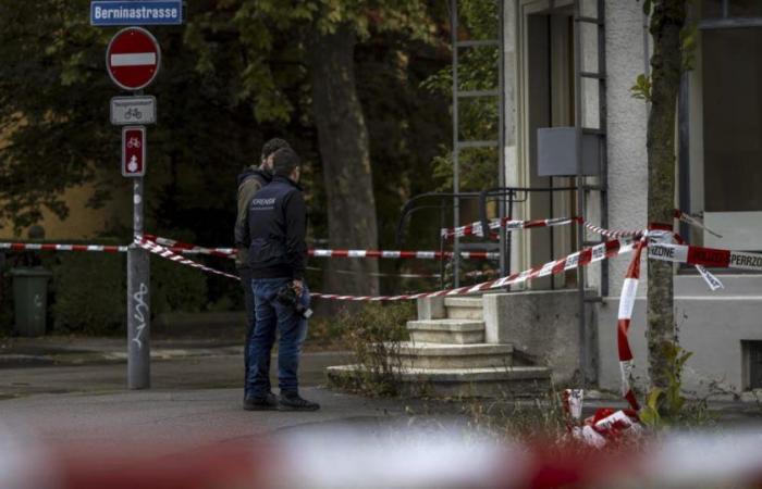 Suisse. Enfants agressés à Zurich hors de danger, agresseur en détention provisoire