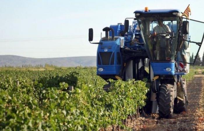 Un viticulteur décède après l’explosion d’un pulvérisateur