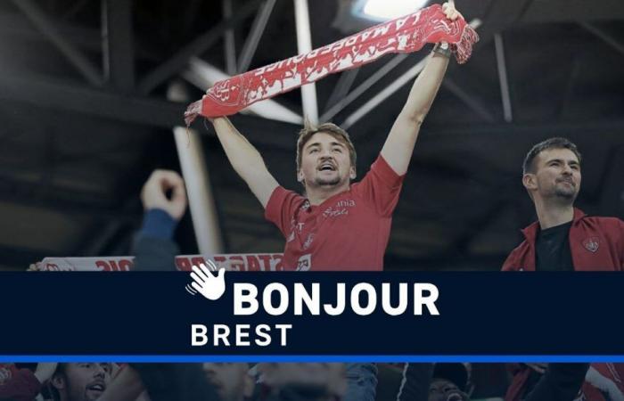 Victoire mémorable, drag queen et handball : Bonjour Brest !