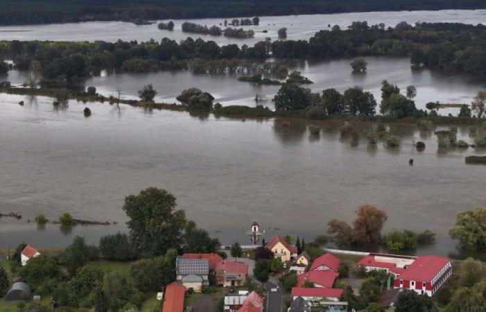 Le parti d’extrême droite polonais obtient du soutien dans les sondages suite aux inondations – Euractiv FR