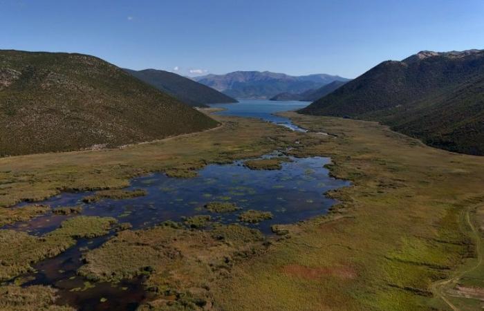 le petit lac de Prespa, chronique d’une mort silencieuse