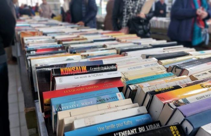 Verdun. Amnesty International met en vente des milliers de livres à prix réduit