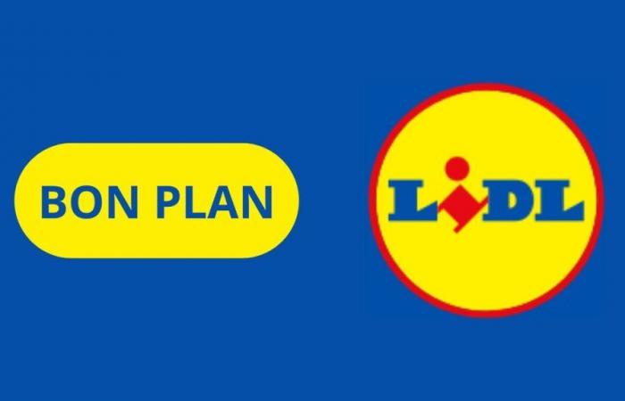 Lidl casse les prix de ces 2 produits des gammes Parkside et Silvercrest