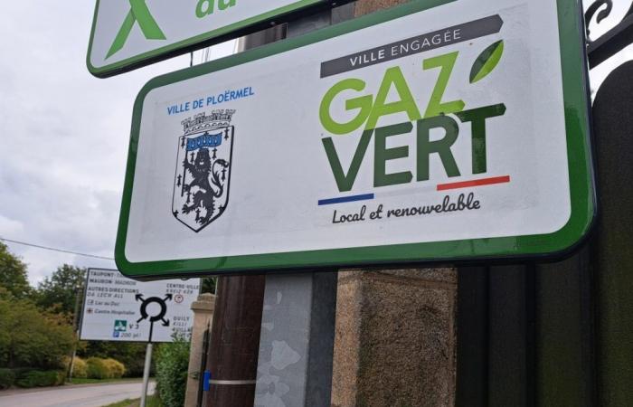 quels sont ces nouveaux panneaux installés à l’entrée de la ville ?