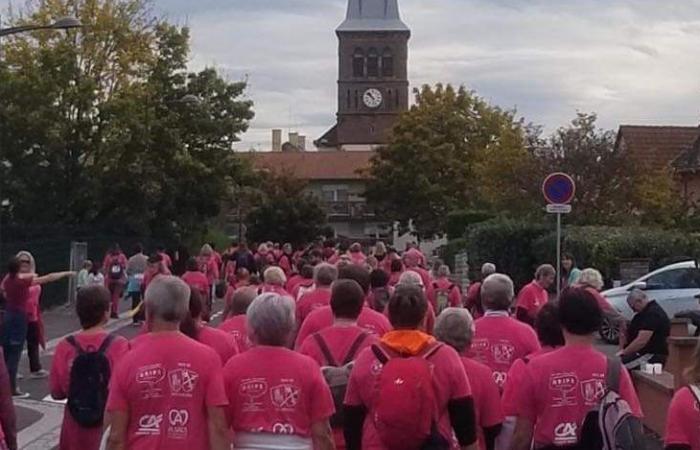 le succès grandissant des marches contre le cancer du sein en Alsace