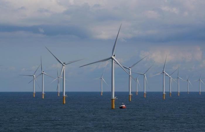 La Belgique manque d’espace en mer du Nord, selon le WWF