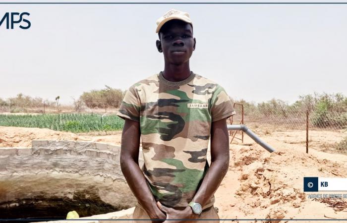 SÉNÉGAL-AGRICULTURE-PROFIL / Maguette Ndiaye, passionnée d’agriculture et militante de la cause paysanne – Agence de presse sénégalaise