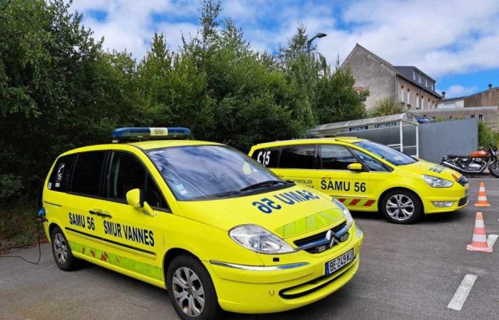 Un piéton décède après avoir été heurté par une voiture