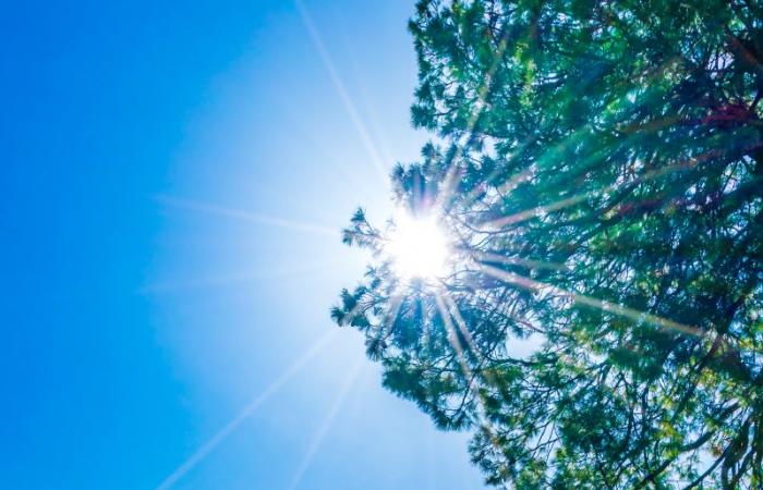 Vos prévisions météo pour ce vendredi 4 octobre